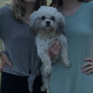 Meet your Posher, Cari